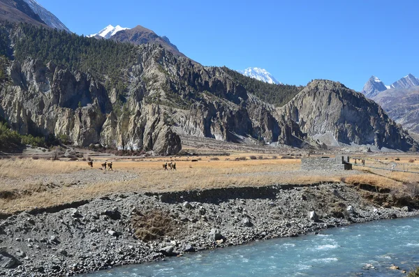 Nepal, trekking w Himalajach. Góry krajobraz — Zdjęcie stockowe