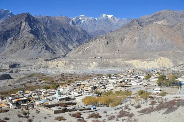 Nepal, Jomsom es la capital de Manang. Garganta del río Kali Gandaki —  Fotos de Stock