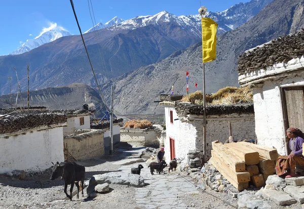 Jomson, Nepal, November, 08, 2012. ?he street of the city of Jonson - capital region Manang in Nepal — Stock Photo, Image