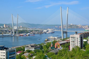 Vladivostok, Rusya, Haziran, 01, 2016. Köprünün Haliç güneşli bir günde Vladivostok içinde defne