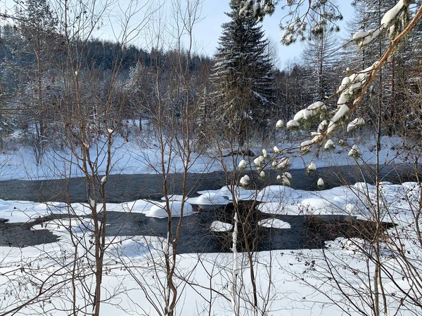 날에는스 로프스 지역의 겨울에는 합니다 러시아 — 스톡 사진