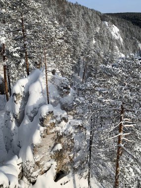 Kışın Ivdel nehrinin sol kıyısındaki kayalar. Rusya, Sverdlovsk bölgesi, Ivdel şehri yakınlarında.