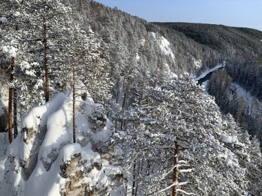 Kışın Ivdel nehrinin sol kıyısındaki kayalar. Rusya, Sverdlovsk bölgesi, Ivdel şehri yakınlarında.