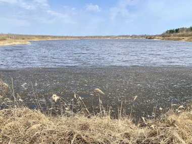 İlkbaharda su dolu bir kum çukuru. Orekhovo-Zuyevsky bölgesi, Moskova bölgesi, Rusya
