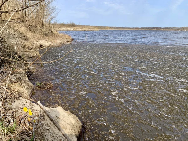 A water-filled sand pit in the spring. Orekhovo-Zuyevsky district, Moscow region, Russia