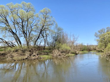 Rusya ve Moskova Bölgesi Mayıs 'ta Protva Nehri