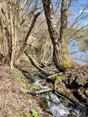 Rusya, Kaluga bölgesi, Mayıs ayında Borovsk kenti yakınlarındaki Protva nehri