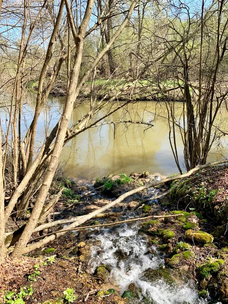 Rusya Moskova Bölgesi Mayıs Protva Nehri — Stok fotoğraf