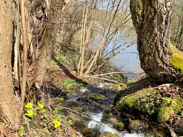 Rusya Kaluga Bölgesi Mayıs Ayında Borovsk Kenti Yakınlarındaki Protva Nehri — Stok fotoğraf