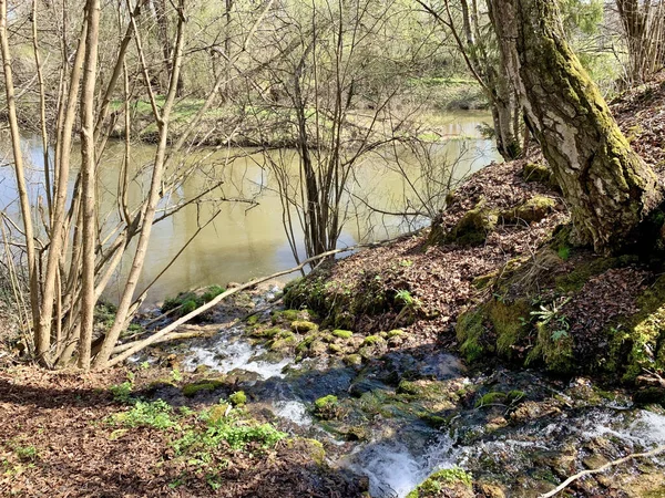 Rusya Moskova Bölgesi Mayıs Protva Nehri — Stok fotoğraf