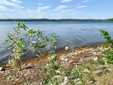 Rusya, Chelyabinsk Bölgesi. Güneşli baharda güzel Uvildy Gölü. 