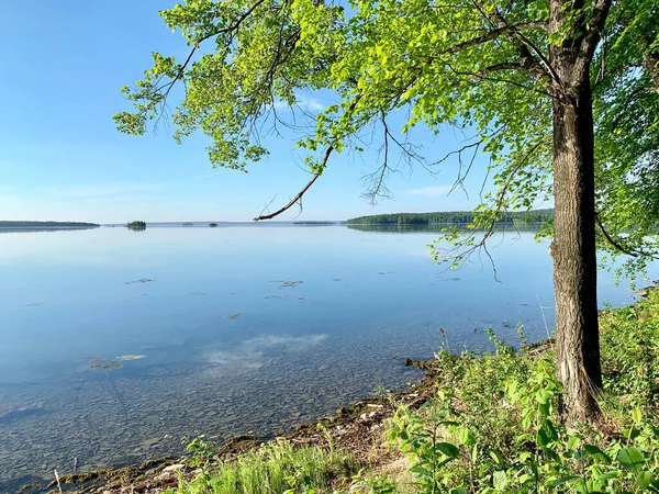 Rusko Čeljabinská Oblast Krásné Jezero Uvildy Slunečného Jarního Počasí — Stock fotografie