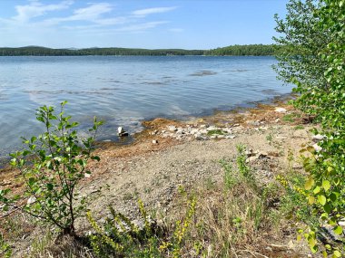  Rusya, Chelyabinsk Bölgesi. Güneşli bahar havasında güzel Uvildy Gölü.