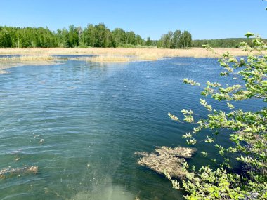  Rusya, Chelyabinsk Bölgesi. Güneşli bahar havasında güzel Uvildy Gölü.