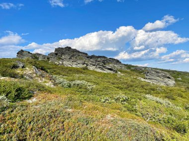 Yazın güneşli bir günde Dyatlov Geçidi. Kuzey Urallar, Rusya