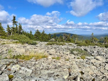 Ural Dağları 'nın güzel havadaki yaz manzarası. Rusya 