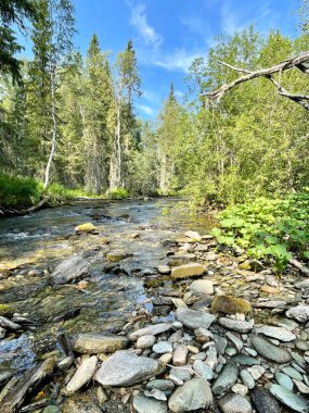 Yazın Auspiya Nehri. Rusya, Kuzey Uralları