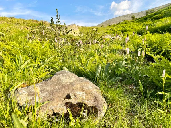 Ural Gebirge Der Nähe Von Dyatlov Pass Sommer Bei Bewölktem — Stockfoto