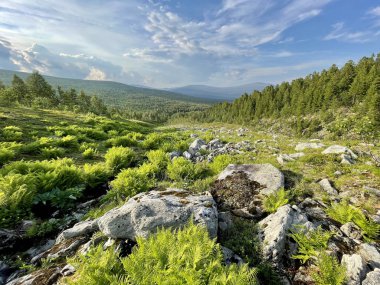  Yazın Dyatlov yakınlarındaki Ural Dağları bulutlu havada geçer. Rusya