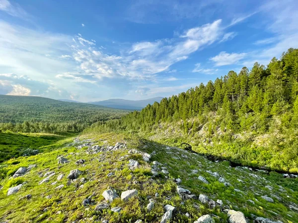 Ural Mountains near Dyatlov pass in summer in cloudy weather. Russia