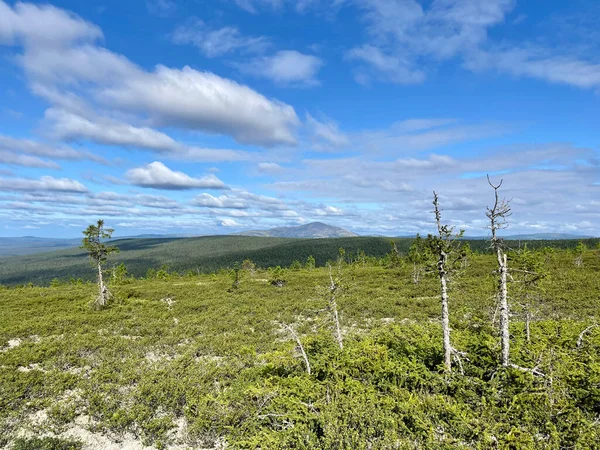 Vista Verão Das Montanhas Urais Rússia — Fotografia de Stock