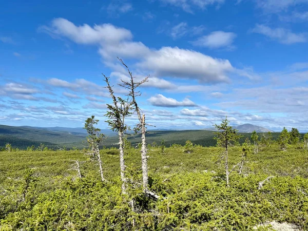 Letni Widok Góry Ural Rosja — Zdjęcie stockowe