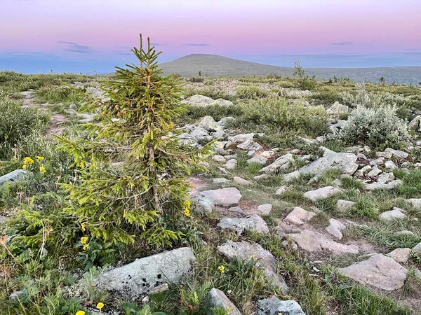 Uralgebirge Auf Dem Territorium Des Petschora Iljitschski Reservats Abend Republik — Stockfoto