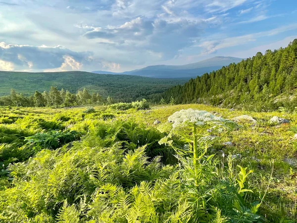  Yazın Dyatlov yakınlarındaki Ural Dağları bulutlu havada geçer. Rusya