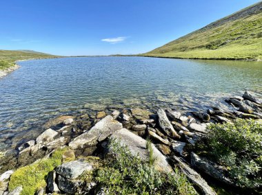 Yazın Otorten Dağı eteğindeki göl. Kuzey Ural, Rusya