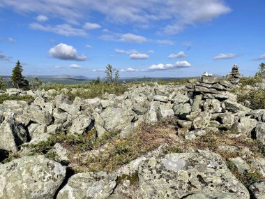 Yazın Pechora-Ilychsky Reserve bölgesindeki Ural Dağları. Komi Cumhuriyeti, Rusya