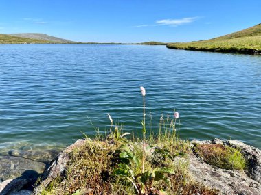 Yazın Otorten Dağı eteğindeki göl. Kuzey Ural, Rusya