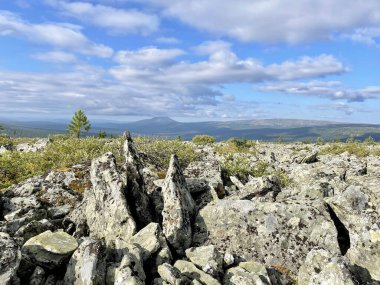 Yazın Pechora-Ilychsky Reserve bölgesindeki Ural Dağları. Komi Cumhuriyeti, Rusya