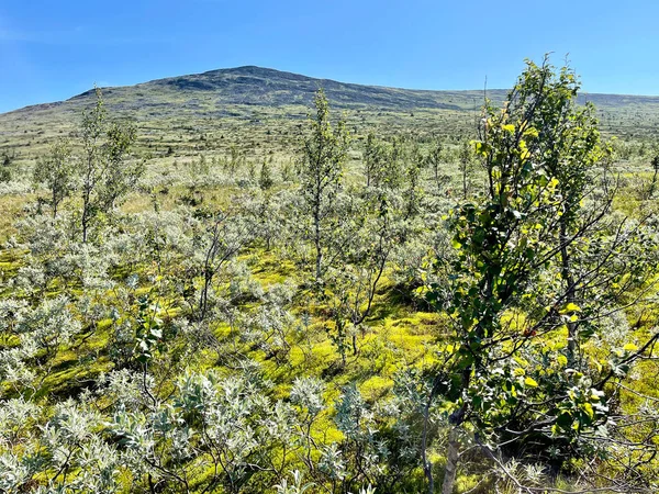 Vista Las Montañas Los Urales Las Proximidades Del Refugio Montaña —  Fotos de Stock