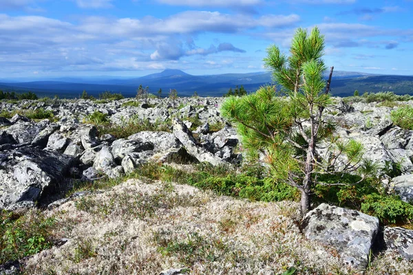 Montagne Urali Sul Territorio Della Riserva Pechora Ilychsky Estate Repubblica — Foto Stock