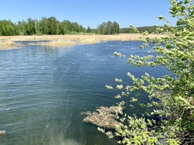Rusya, Chelyabinsk Bölgesi. Güneşli bahar havasında güzel Uvildy Gölü.