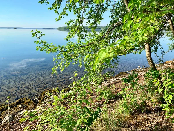 Rusia Región Chelyabinsk Hermoso Lago Uvildy Tiempo Soleado Primavera — Foto de Stock