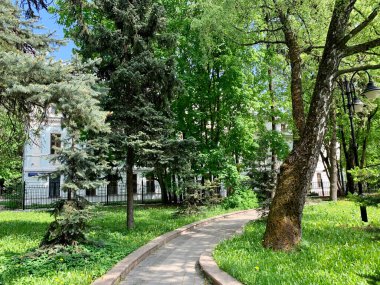 Vorovsky Park 'ta yazın. Voykovsky bölgesi. Moskova şehri.