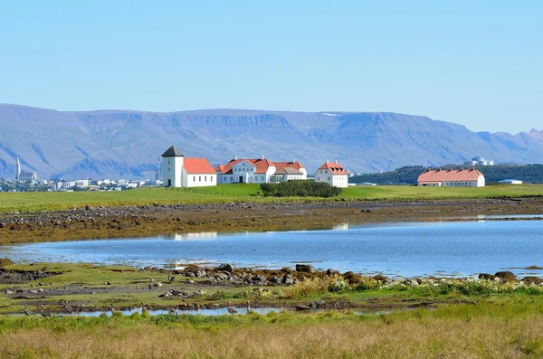 View of Reykjavik, the Lutheran Church Hallgrímskirkja — Stock Photo, Image