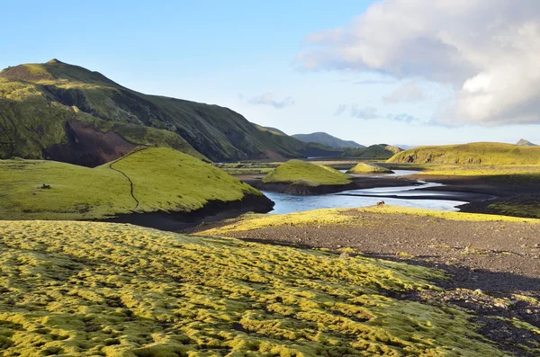 İzlanda, dağlar ve rivwes — Stok fotoğraf