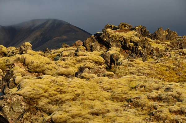 IJsland, lava formaties — Stockfoto