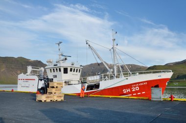 Djupivogur, İzlanda, 14 Ağustos 2014. Groundafiord şehir içinde limanda balıkçı gemisinin boşaltma