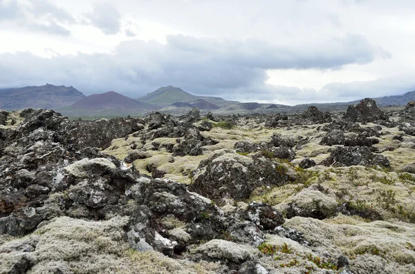 Lava field in cloudy wether, Iceland