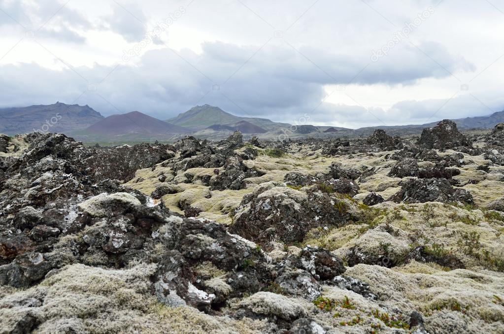 Lava field in cloudy wether, Iceland