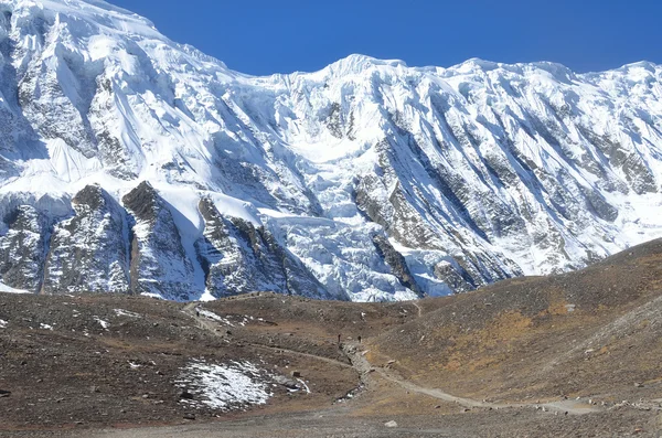 ネパール、ヒマラヤのトレッキングします。山の風景。アンナプルナ、海抜 4500 メートル — ストック写真