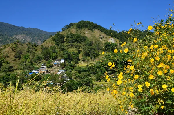 Népal Himalaya Été — Photo