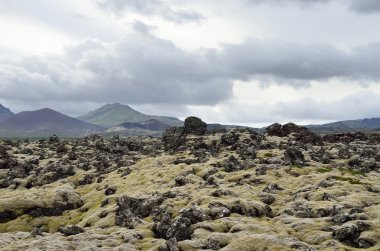 Lava field, Iceland in coudy weather