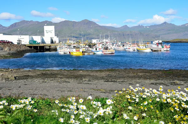 Djupivogur, Iceland,  August, 17, 2014. port in the town Djupivogur — Stock Photo, Image