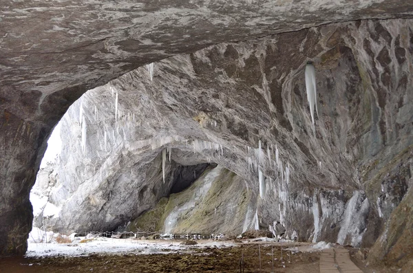 Kapova Mağarası, anather adı Shulgan-Tash var. Başkurdistan Cumhuriyeti topraklarında bir karst mağara