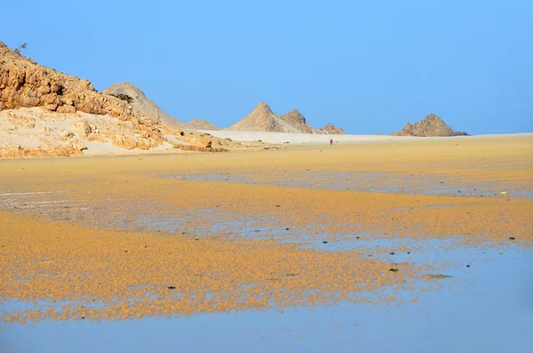 Yemen, Kalstress sull'isola di Socotra — Foto Stock