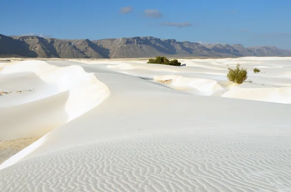 Kum tepelerine Stero, Sokotra, Yemen Adası — Stok fotoğraf